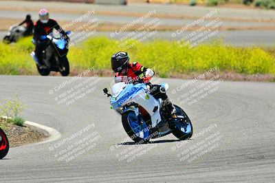 media/May-10-2024-2WTD (Fri) [[c88d7990af]]/Group C/Session 3-Turn 4 and 6/